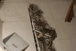 清水卫生间漏水检测电话
